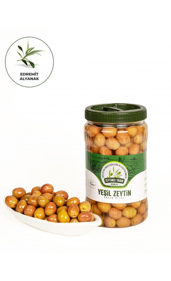 Edremit Alyanak Zeytin