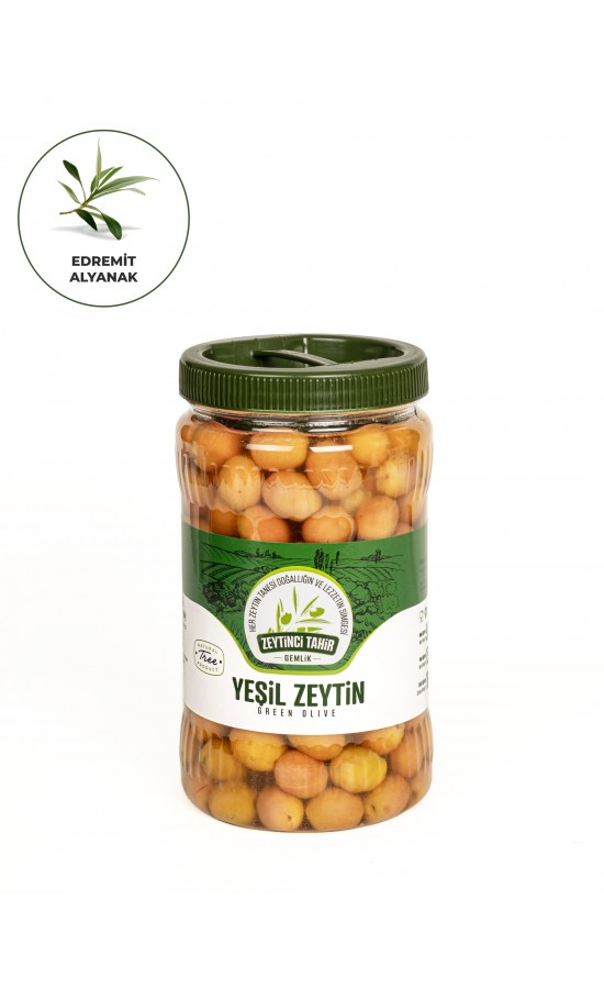 Edremit Alyanak Zeytin