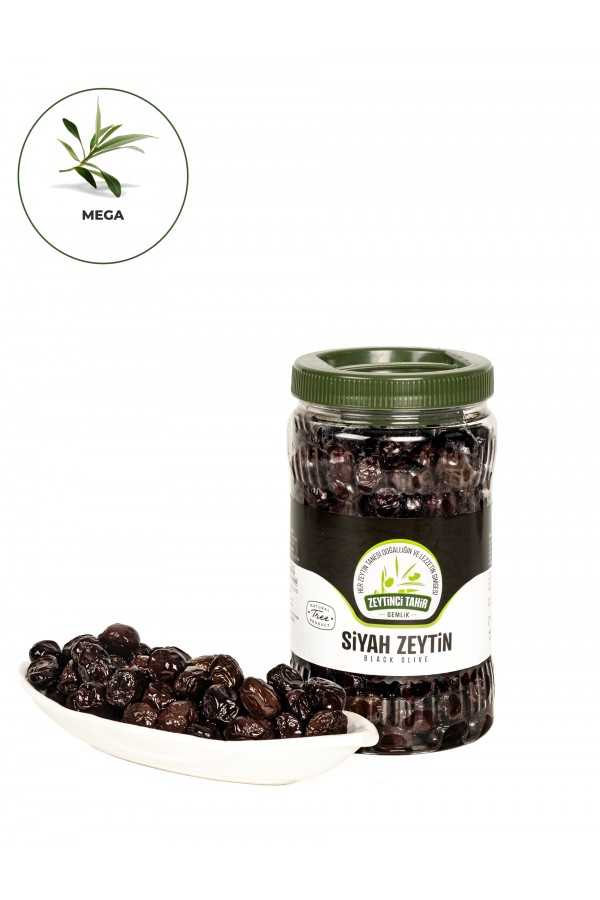 Taş Baskı Mega - M