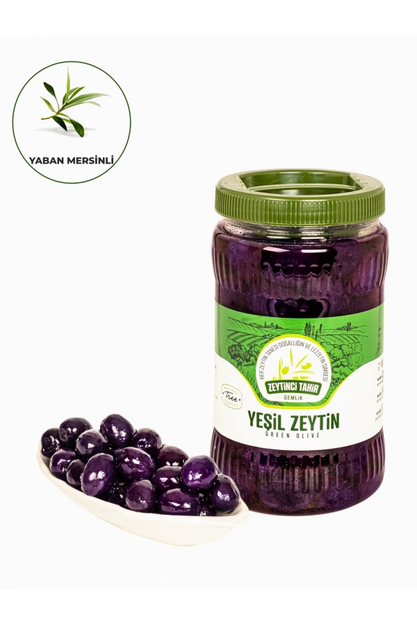 Yaban Mersinli Zeytin