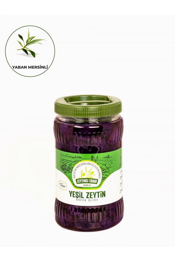 Yaban Mersinli Zeytin